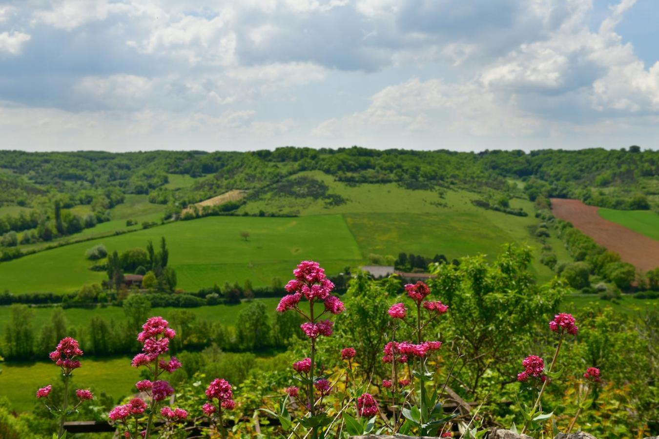 Le Songe D'Atys Bed & Breakfast Cordes-sur-Ciel Exterior photo